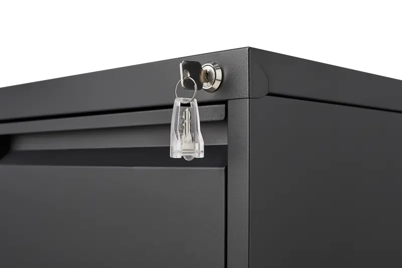 4 Cajones     Gabinete con Cerradura, Gabinete de  , Gabinete de   de Metal       Organizador Gabinete de Almacenamiento   Tamaño/ A4/   Legal detalles 3