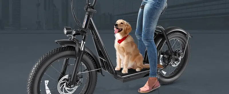 Patinete el&eacute;ctrico   adultos con asiento y  , neum&aacute;ticos de 20    , bater&iacute;a de 48V 500Wh, autonom&iacute;a de   30   y 20 MPH, con asiento y  ,   LCD,     de 300  , patinete el&eacute;ctrico plegable   desplazamientos. detalles 3