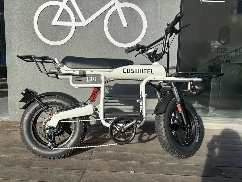 Bicicleta eléctrica 48V 20AH Bicicletas eléctricas para adultos Bicicletas de montaña Ebikes Neumáticos gruesos Ciclismo Freno de aceite para exteriores Bicicleta eléctrica detalles 7