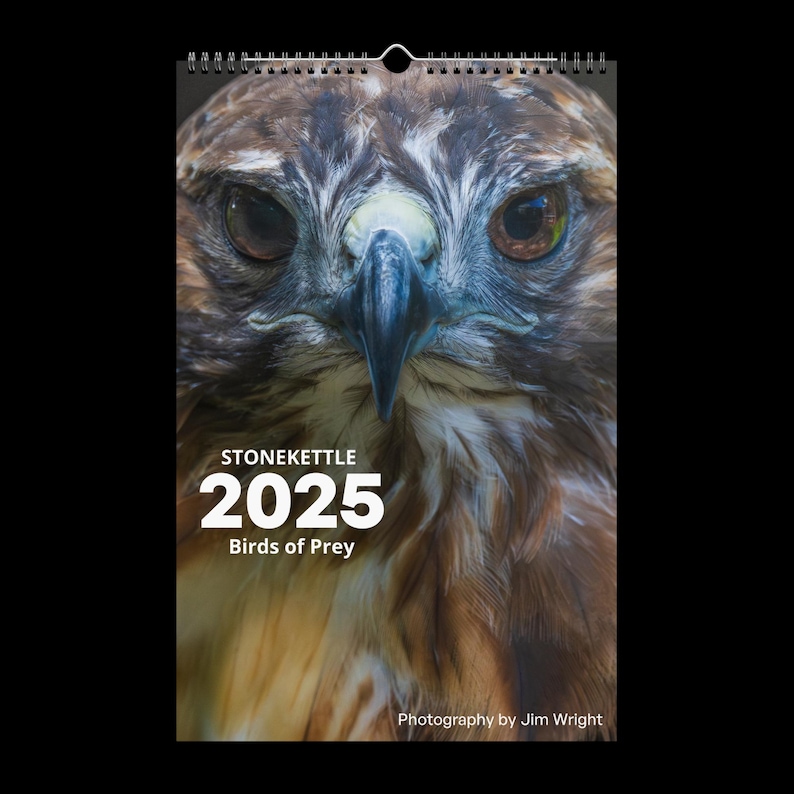 CALENDARIO DE AVES RAPIDEZ 2025 imagen 1