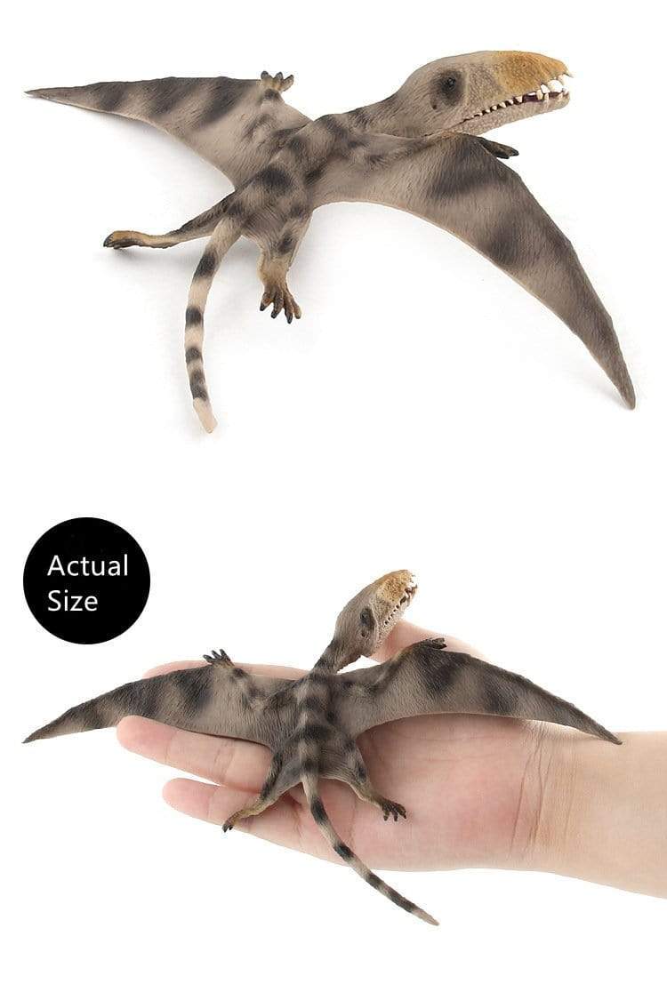 13‘’ Realistic Pterosaur Dinosaur Solid Figure Model Toy Decor with Movable Jaw