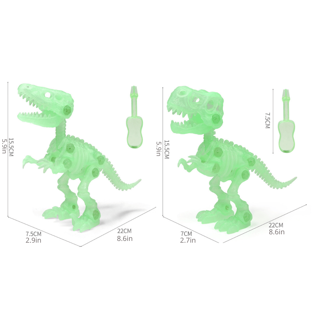 Glow in the Dark Dinosaur DIY Take Apart Fluorescent Skeleton Educational Toy for Kids