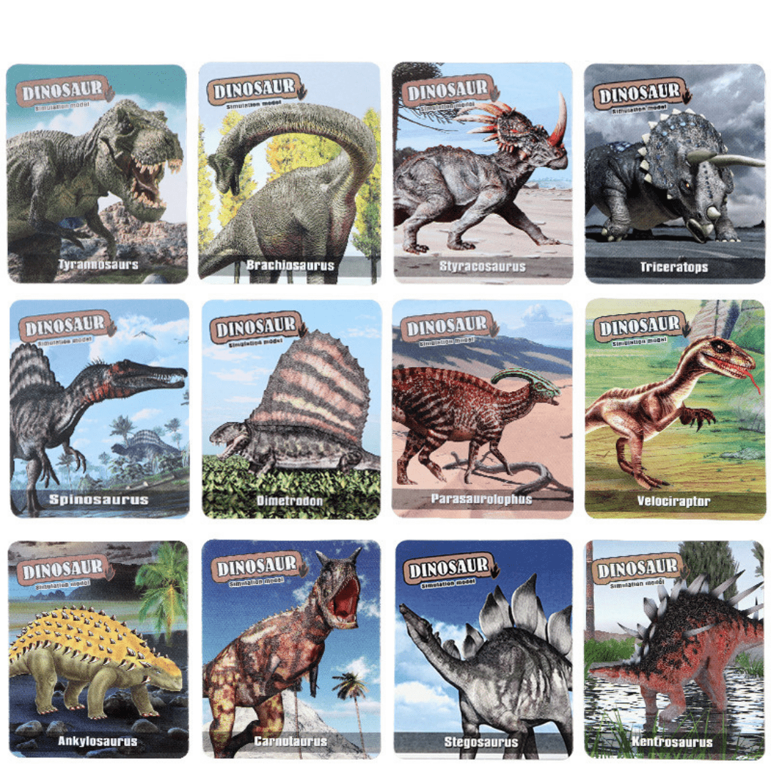 Dinosaur Flash Cards and Figures Set Children Educational Learning Toy 1 Set