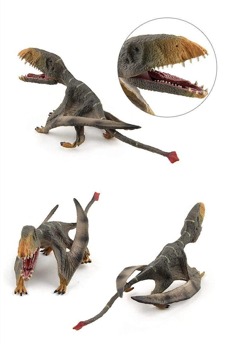13‘’ Realistic Pterosaur Dinosaur Solid Figure Model Toy Decor with Movable Jaw