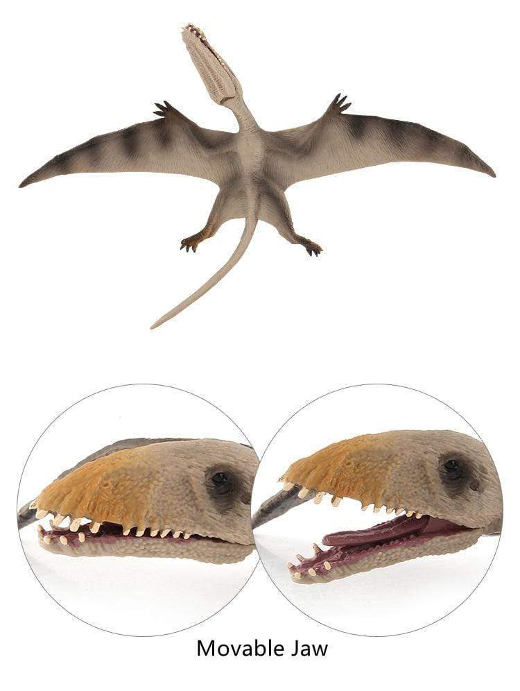 13‘’ Realistic Pterosaur Dinosaur Solid Figure Model Toy Decor with Movable Jaw