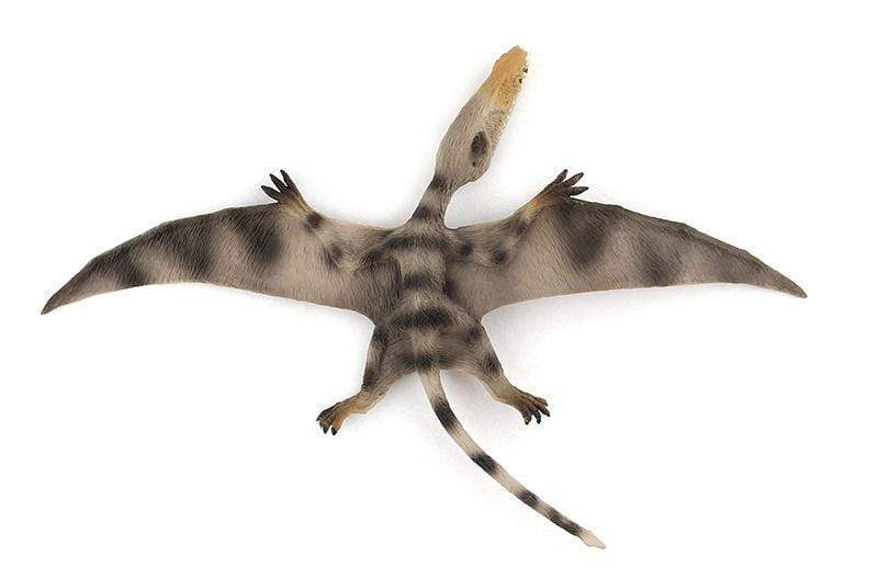 13‘’ Realistic Pterosaur Dinosaur Solid Figure Model Toy Decor with Movable Jaw White