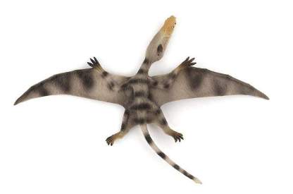13‘’ Realistic Pterosaur Dinosaur Solid Figure Model Toy Decor with Movable Jaw White
