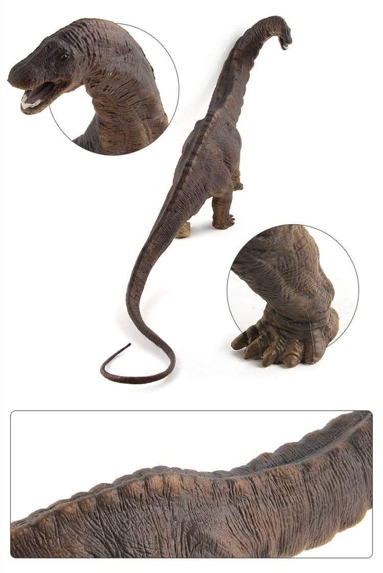 18‘’ Realistic Apatosaurus Dinosaur Solid Figure Model Toy Decor