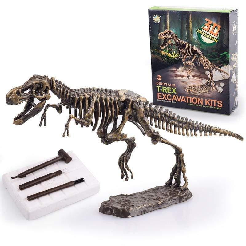 Large Dinosaur Skeleton Excavation Dig Up DIY Take Apart Dino Realistic Fossil Model Kit Toys