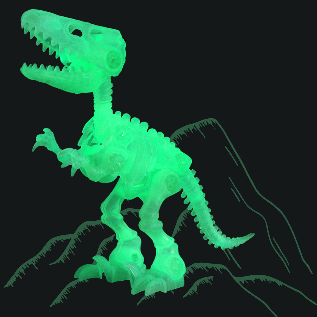 Glow in the Dark Dinosaur DIY Take Apart Fluorescent Skeleton Educational Toy for Kids Velociraptor