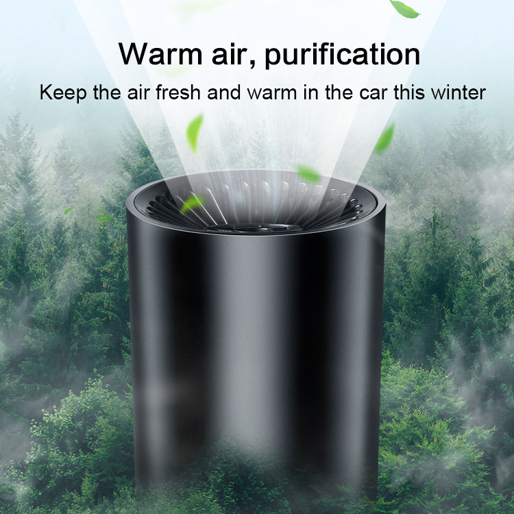 Portable car heater