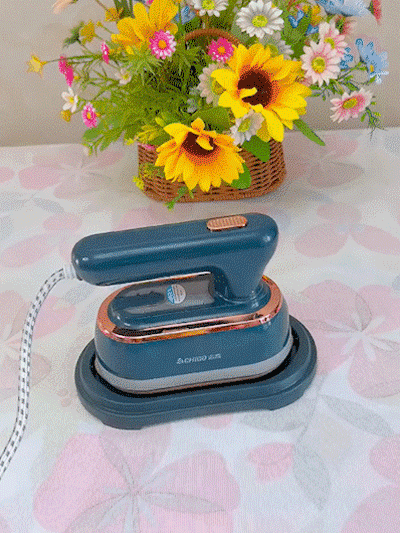 Professional Handheld Ironing Machine