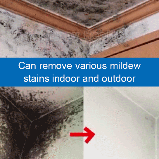 Mildew Stain Remover Spray