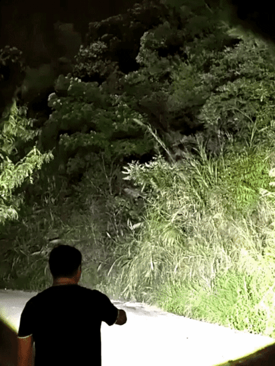 Strong light telescopic flashlight