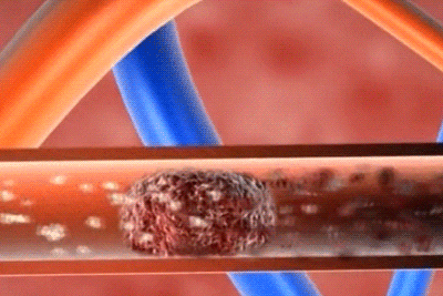 3755ce16bbc08431cc9bdf793f1908f7 (1).gif