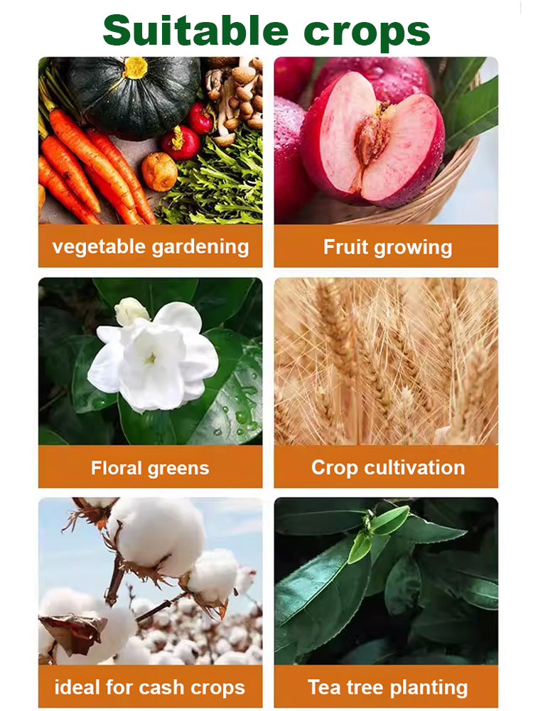 🌿 A revolution in plant care: Highly effective biofungicide, limited time promotion, comprehensive care for your garden! 🌟  Say goodbye to traditional, tedious gardening procedures. With our biofungicide, plant care is simple and easy. ✨