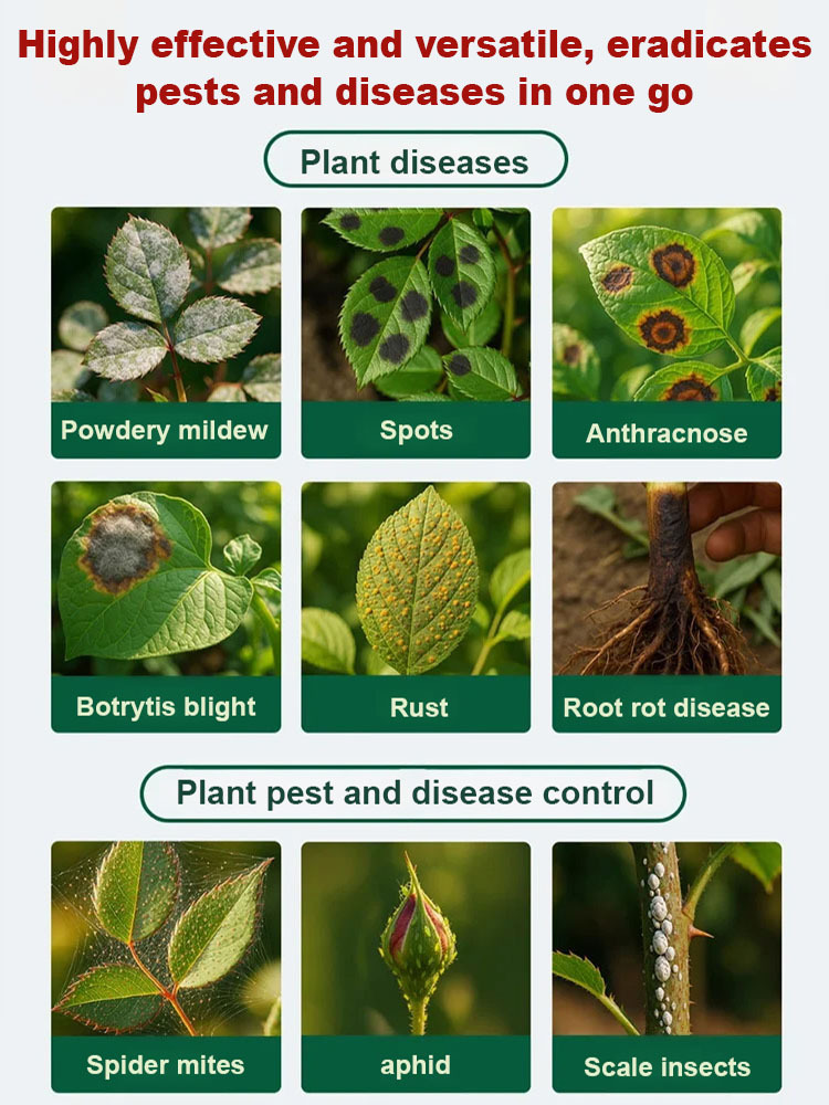 🌿 A revolution in plant care: Highly effective biofungicide, limited time promotion, comprehensive care for your garden! 🌟  Say goodbye to traditional, tedious gardening procedures. With our biofungicide, plant care is simple and easy. ✨
