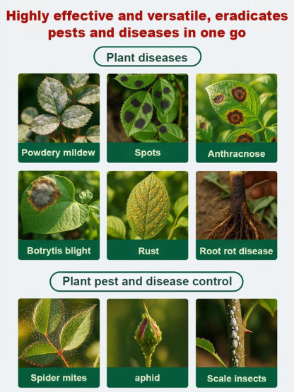 🌿 A revolution in plant care: Highly effective biofungicide, limited time promotion, comprehensive care for your garden! 🌟  Say goodbye to traditional, tedious gardening procedures. With our biofungicide, plant care is simple and easy. ✨