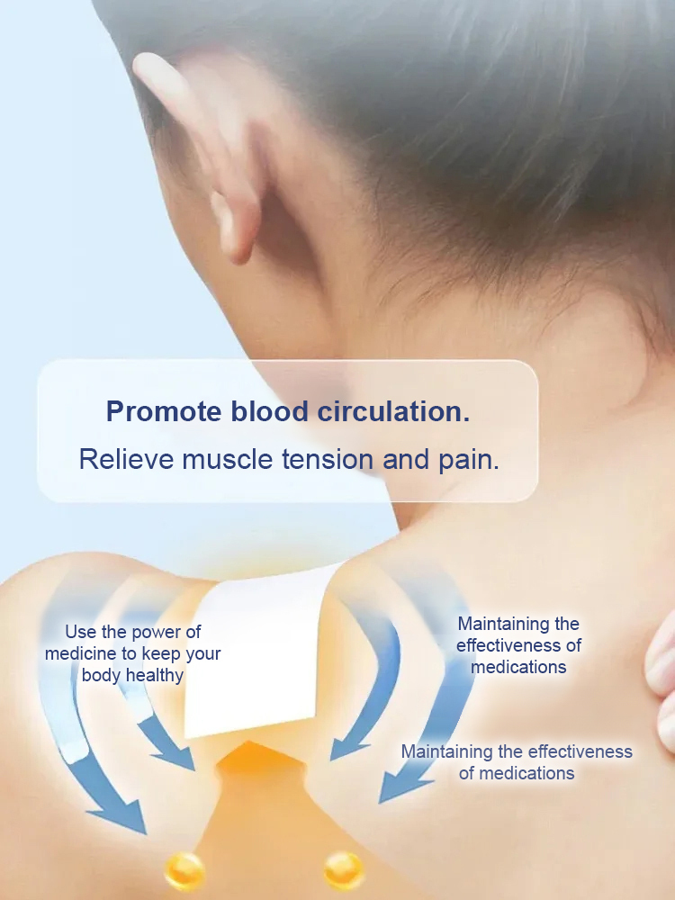 Moxibustion plaster for whole body