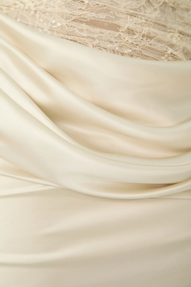 Adrgvin Beige Strapless Lace Corset Maxi Dress