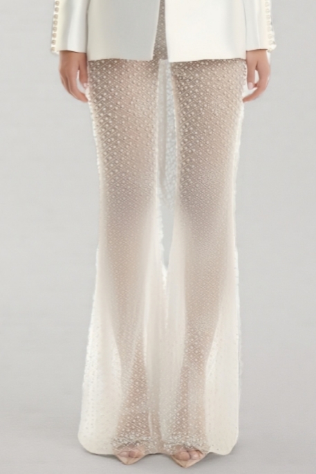 Becky Pearl Sequin Mesh Pants