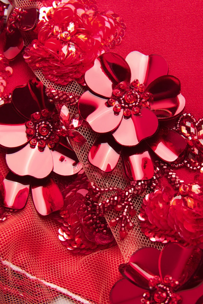 Thety Red 3D Floral Mesh Maxi Dress