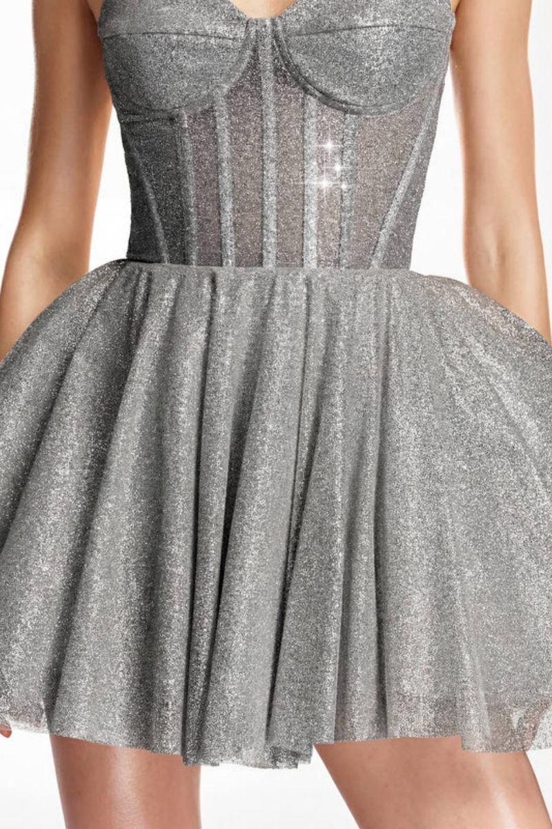 Alerxy Grey Strapless Glitter Corset Mini Dress