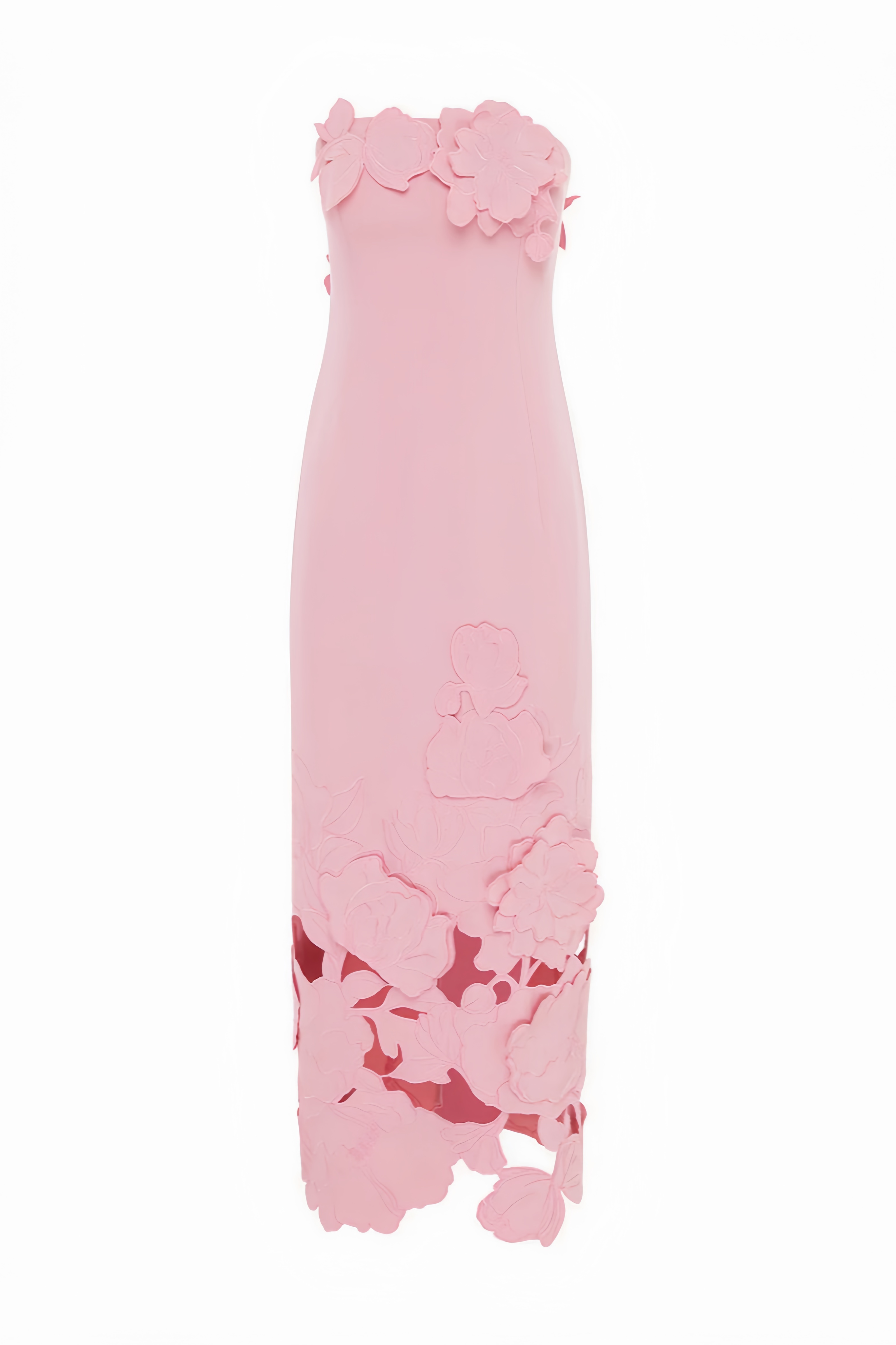 Savannah Pink Strapless Floral Embroidered Maxi Dress