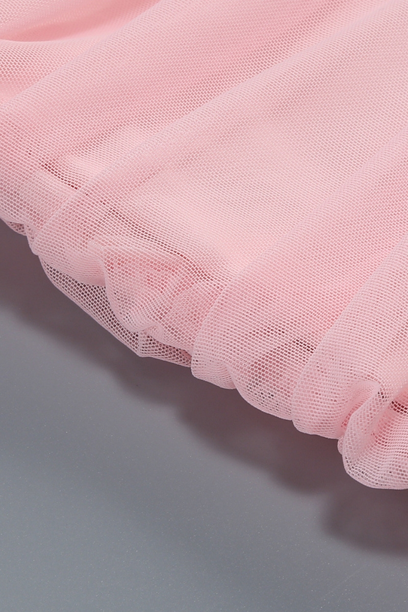 Bradn Pink Mesh Pleated Mini Dress