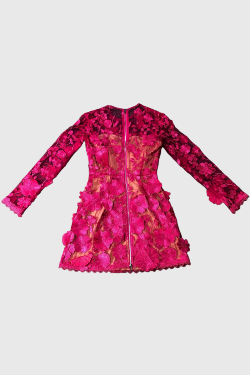 Salacia 3D Floral Lace Mini Dress