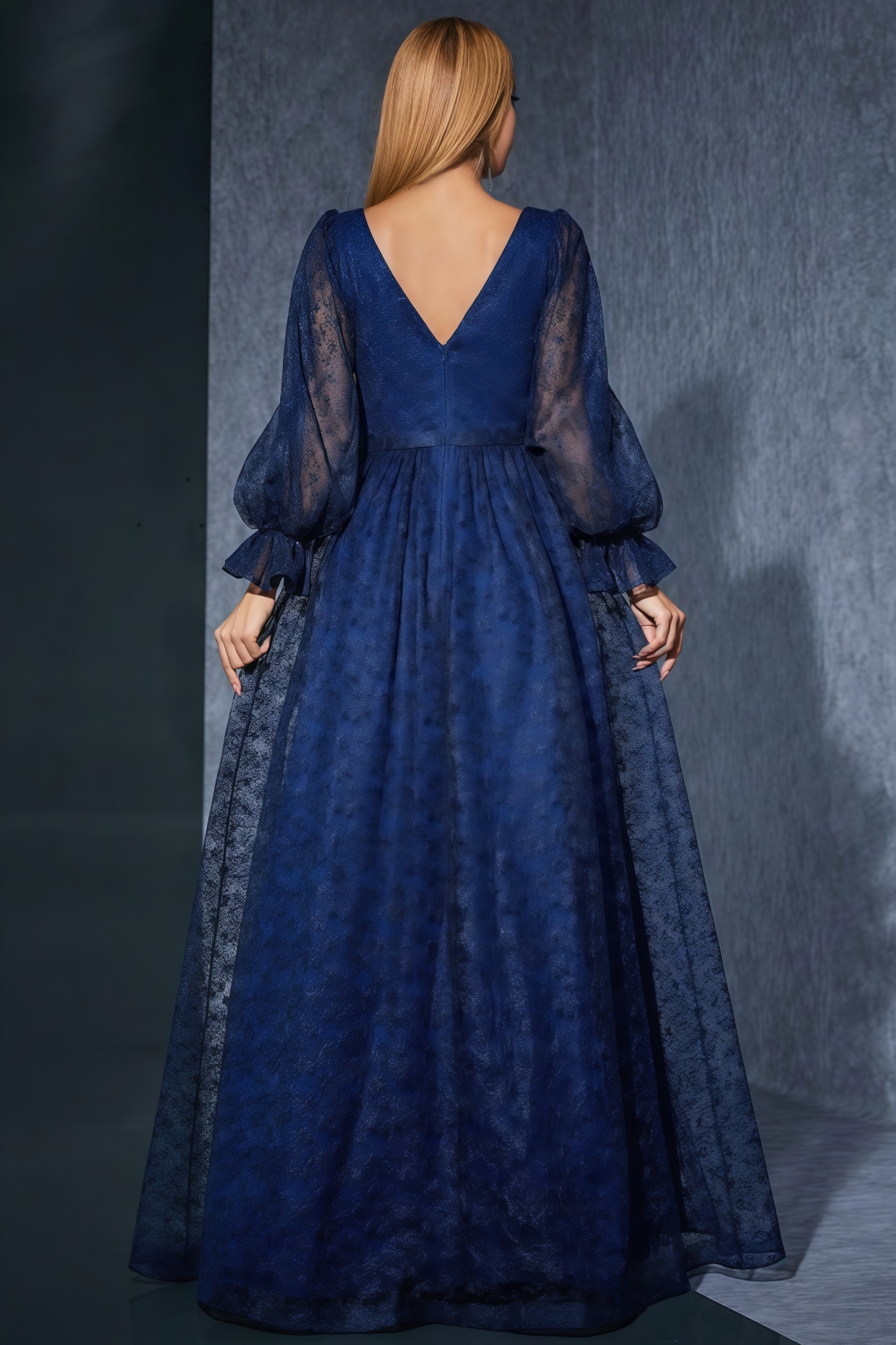 Crana Blue Embroidered Mesh Maxi Dress