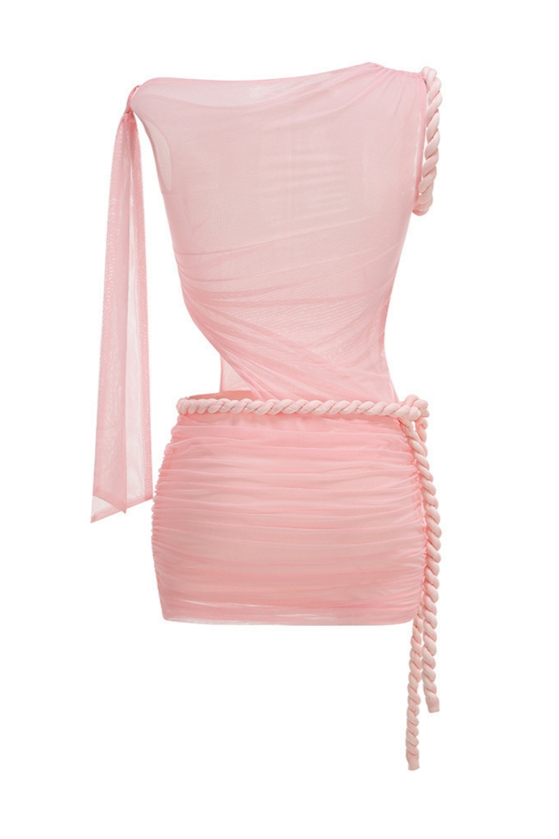 Bradn Pink Mesh Pleated Mini Dress