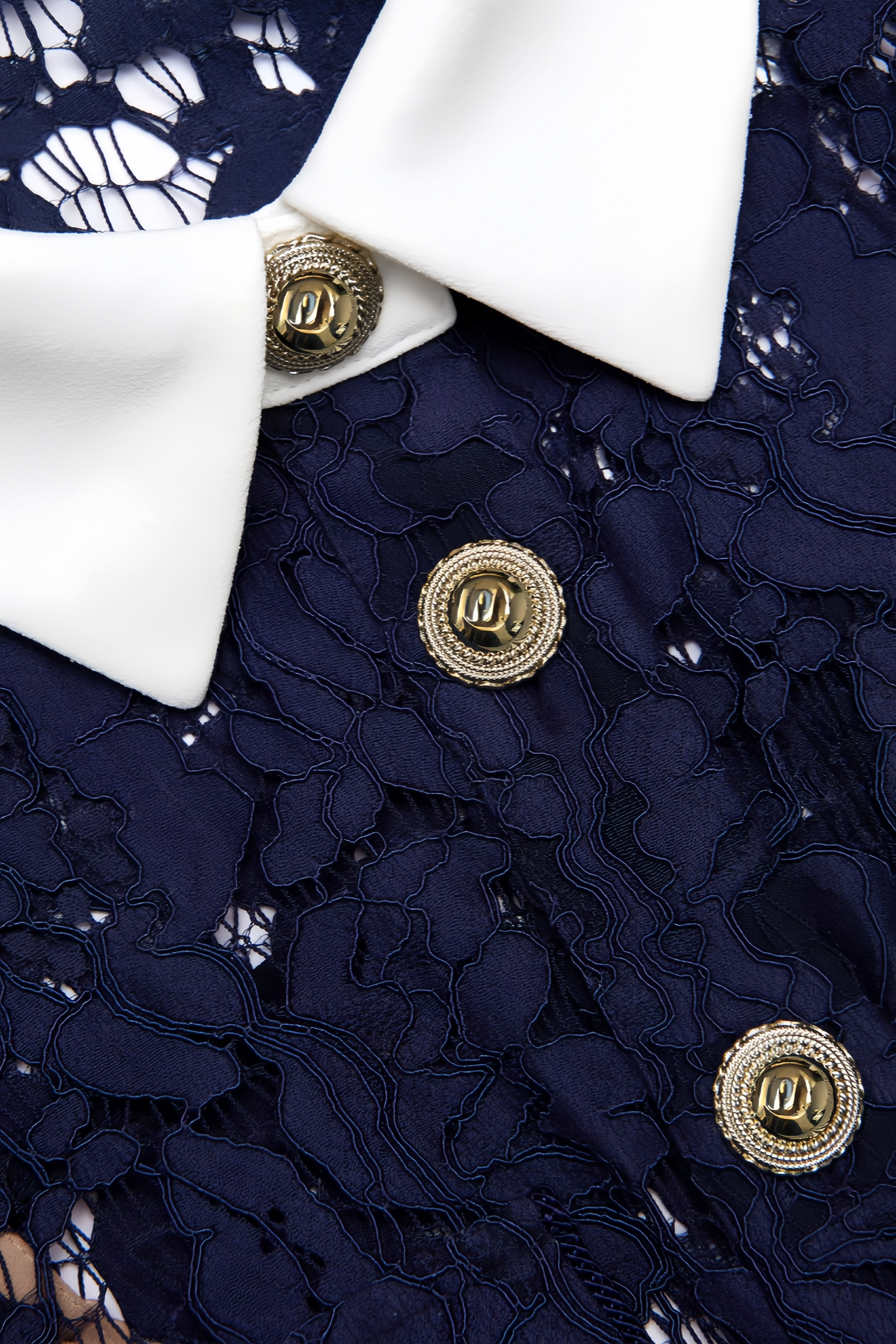 Shaylah Lace Contrast Collar Midi Dress