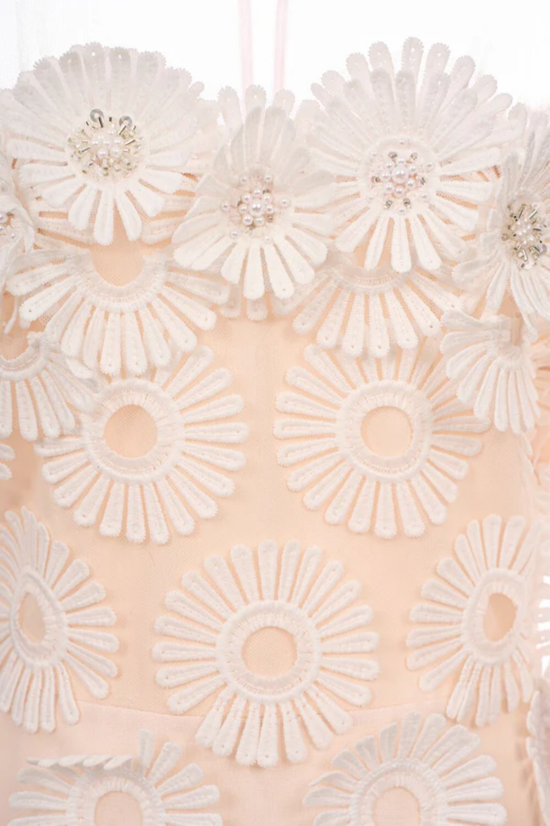 Eva 3D Floral Mesh Lace Midi Dress