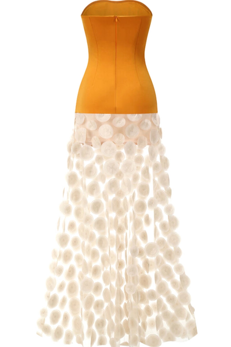 Emery Orange Polka Dot Mesh Maxi Dress