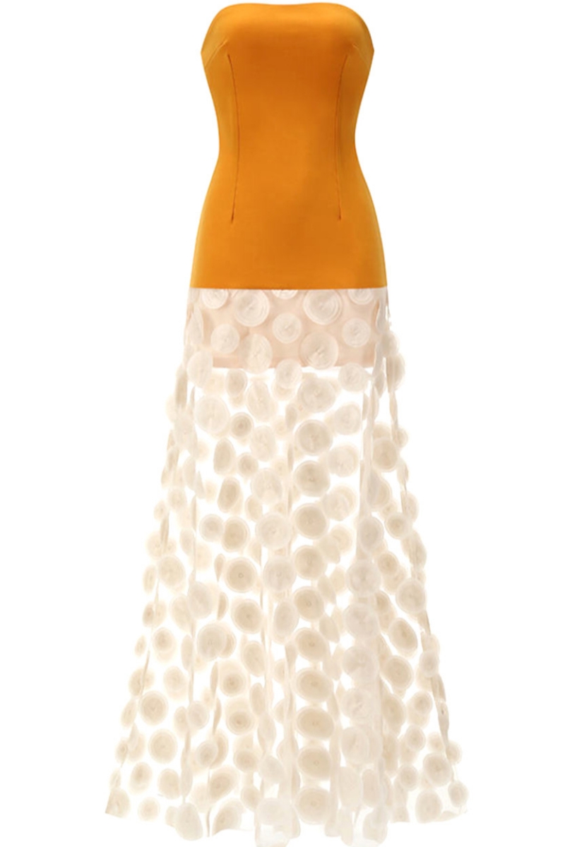 Emery Orange Polka Dot Mesh Maxi Dress