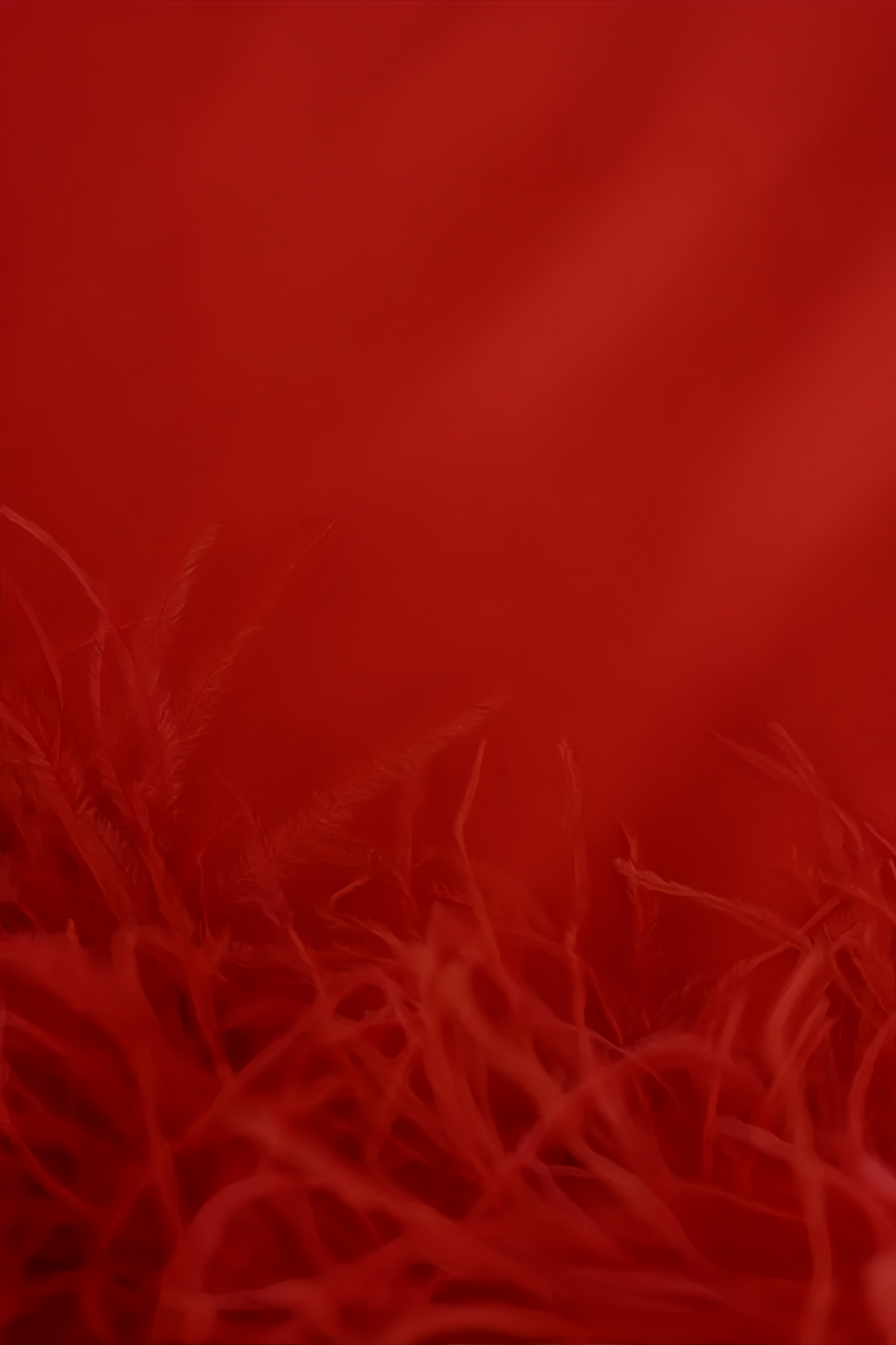 Harlany Red Feather Bandage Maxi Dress