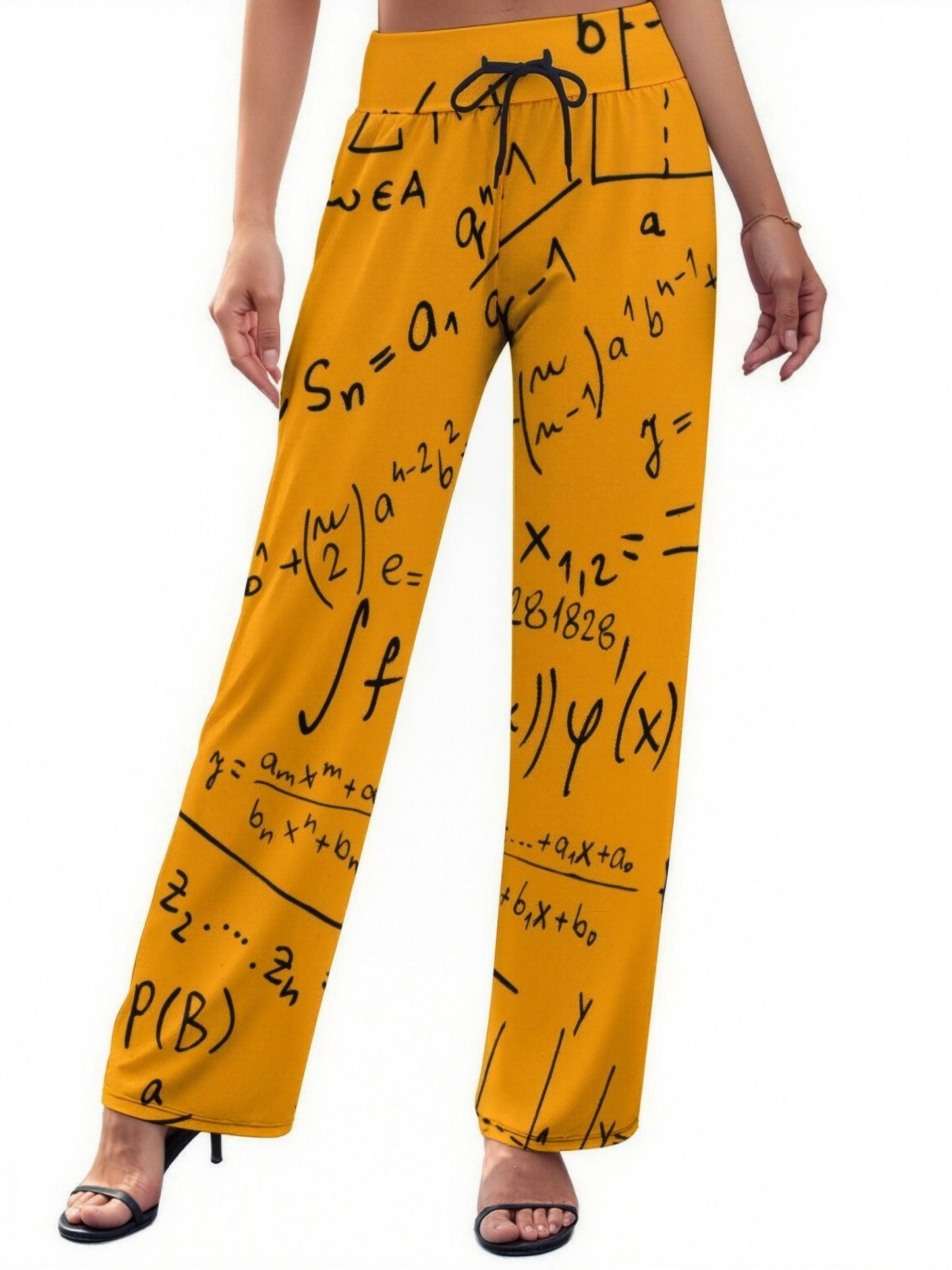 Math Geek Mathematics Problem Solving Printed Women Casual Elastic Waist Wide Leg Pants Trousers