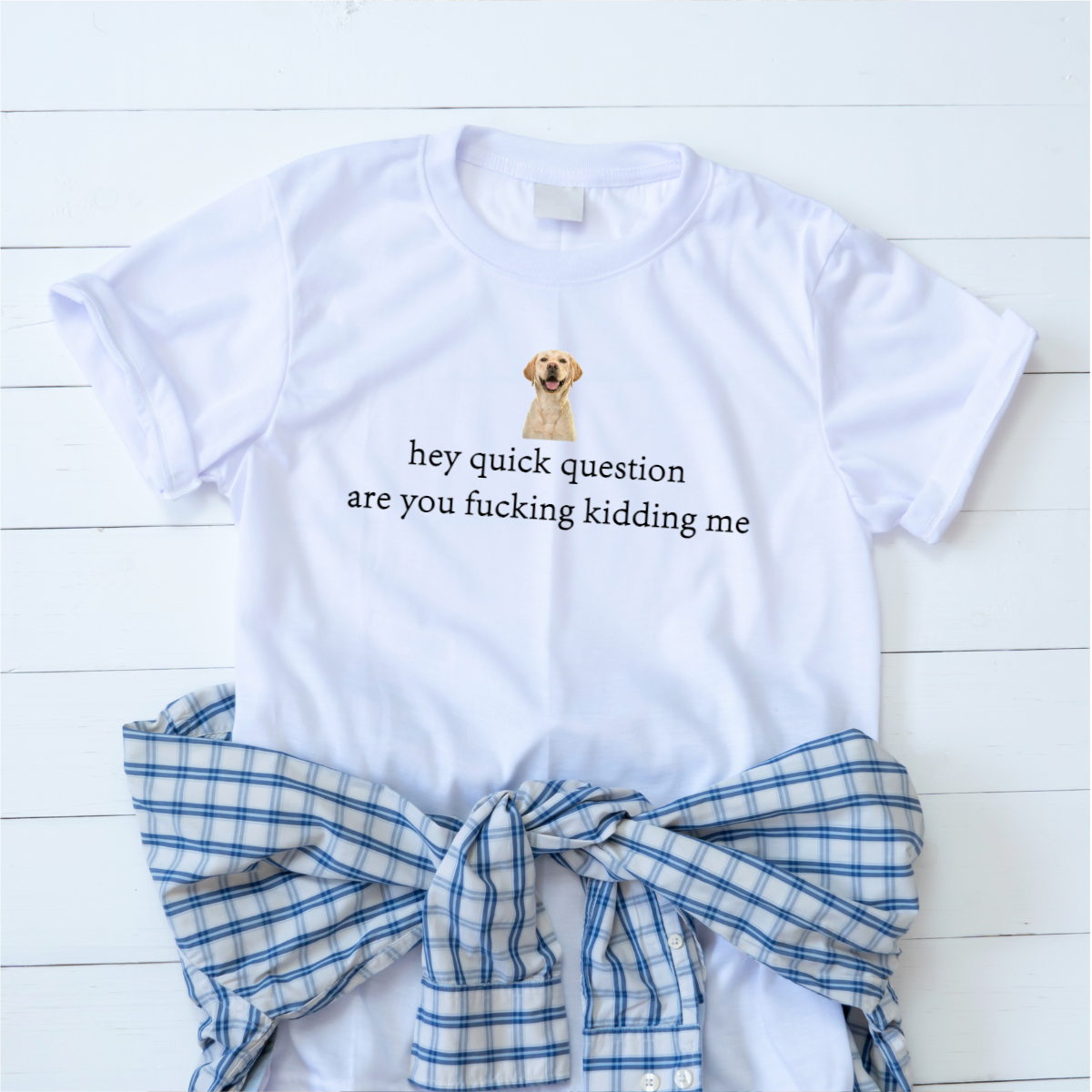 Hey Quick Question Are You Kidding Me Shirt Funny Sarcasm Quote Saying T-Shirt Trendy Shirt Gift for Mom For Girl