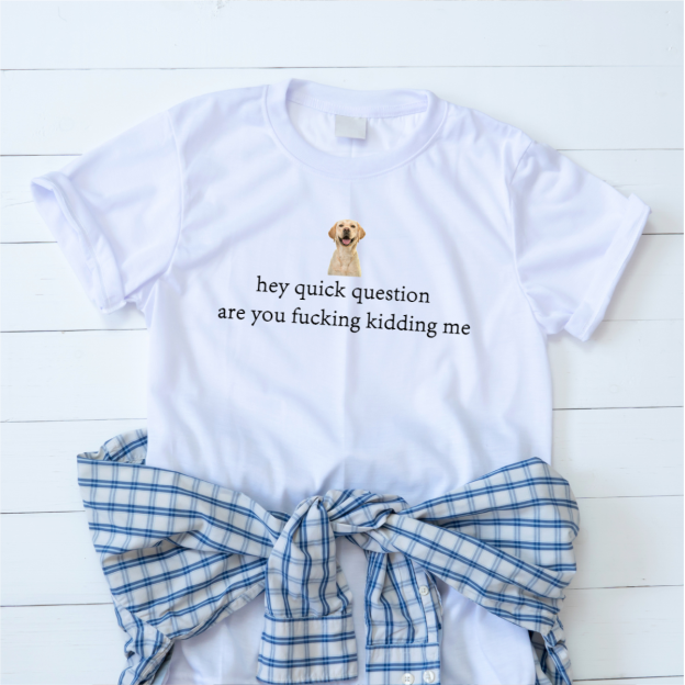 Hey Quick Question Are You Kidding Me Shirt Funny Sarcasm Quote Saying T-Shirt Trendy Shirt Gift for Mom For Girl