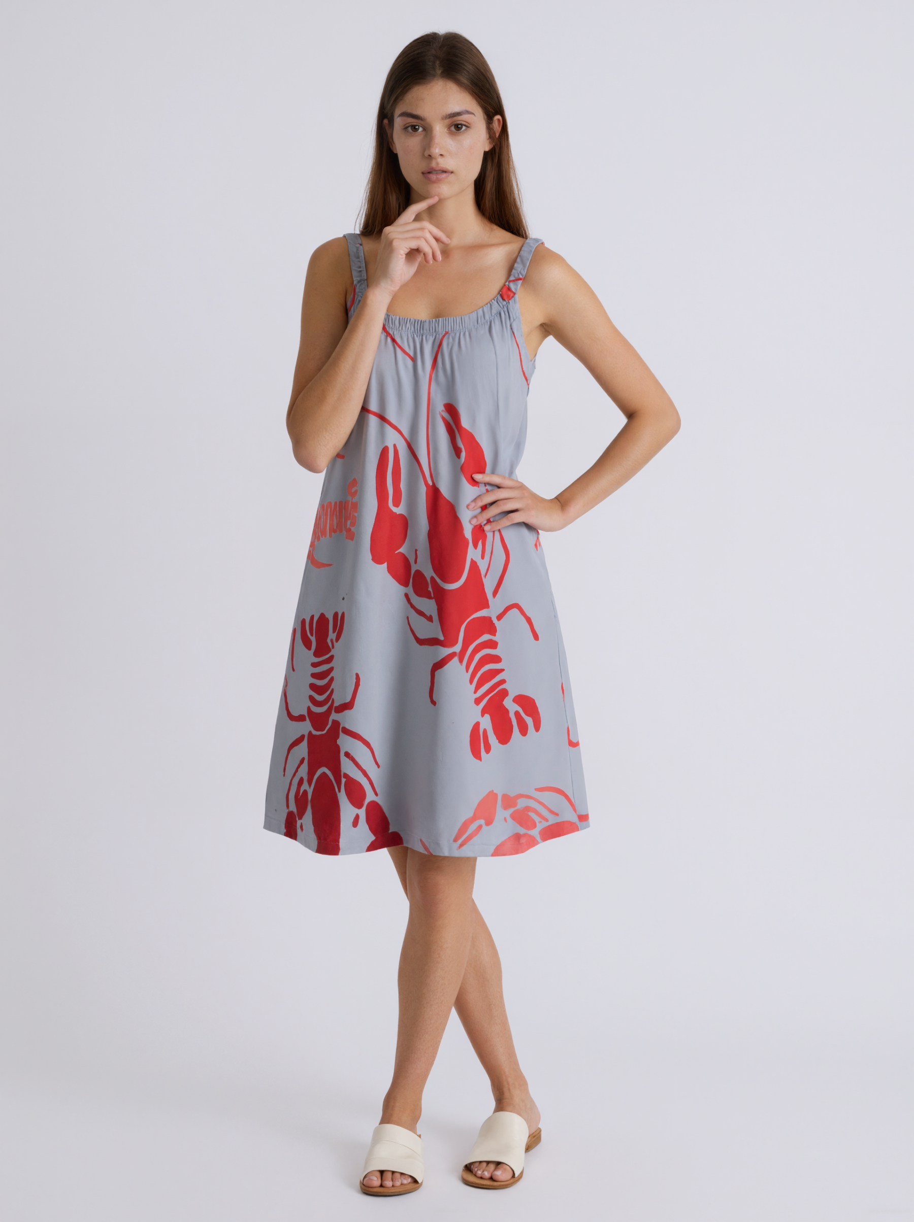 Lobster Bake Or Crawfish Boil Retro Summer Tank Sleeveless Dress Women Casual O Neck Pleated Midi Sun Dresses