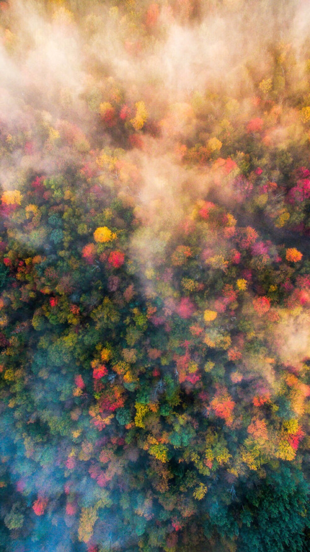 test hero ow team 001