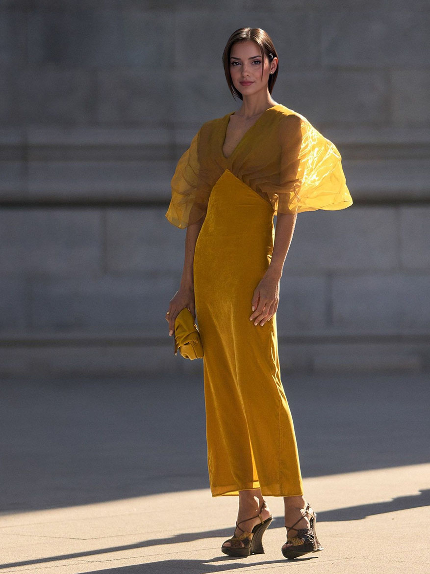 Elegant Organza Pleated V-neck Velvet Maxi Dress