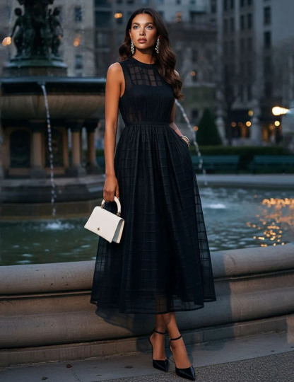 Elegant Sheer Mesh Pattern Midi Dress