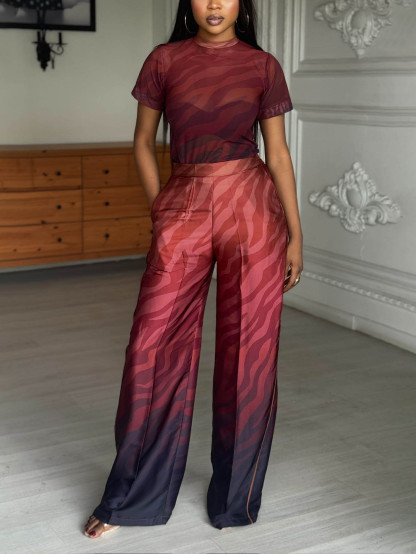 Gradient Zebra Print Satin Mesh T-shirt Two-piece Set
