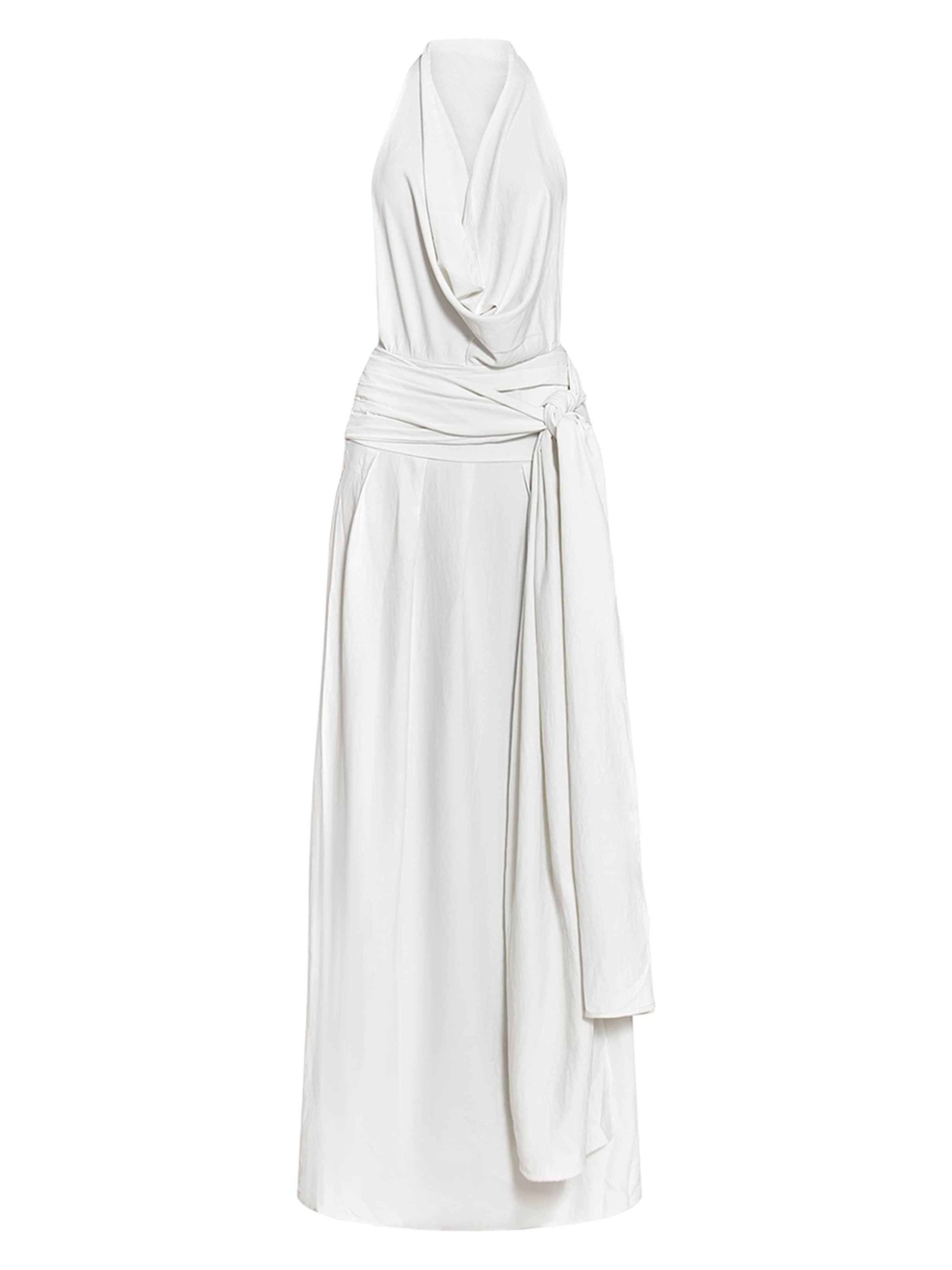 Elegant Scarf Neck Low Back Maxi Dress