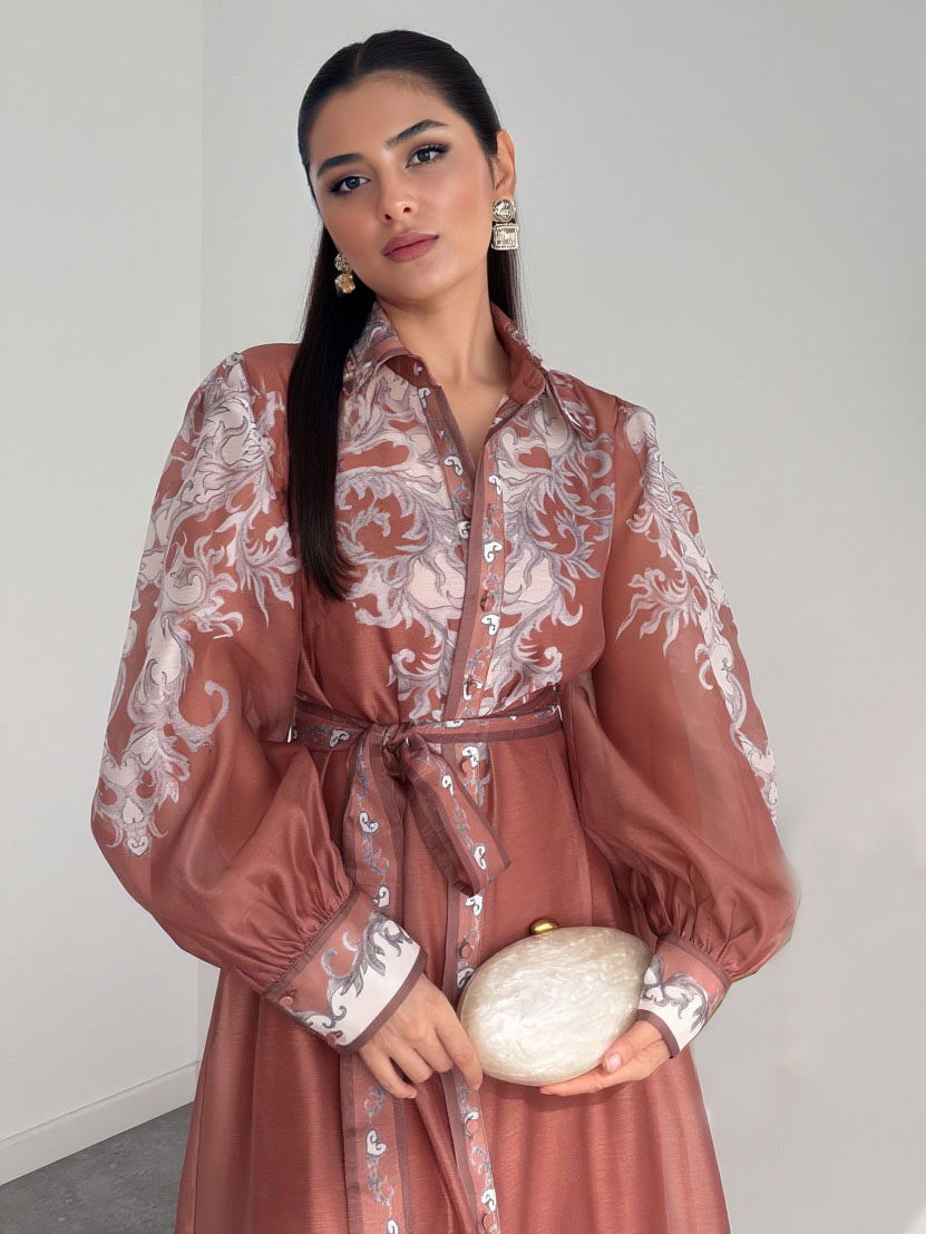 Casual Printed Chiffon Sheer Shirt Maxi Dress