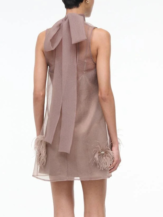 Elegant Sheer Feather-Embellished Mini Dress