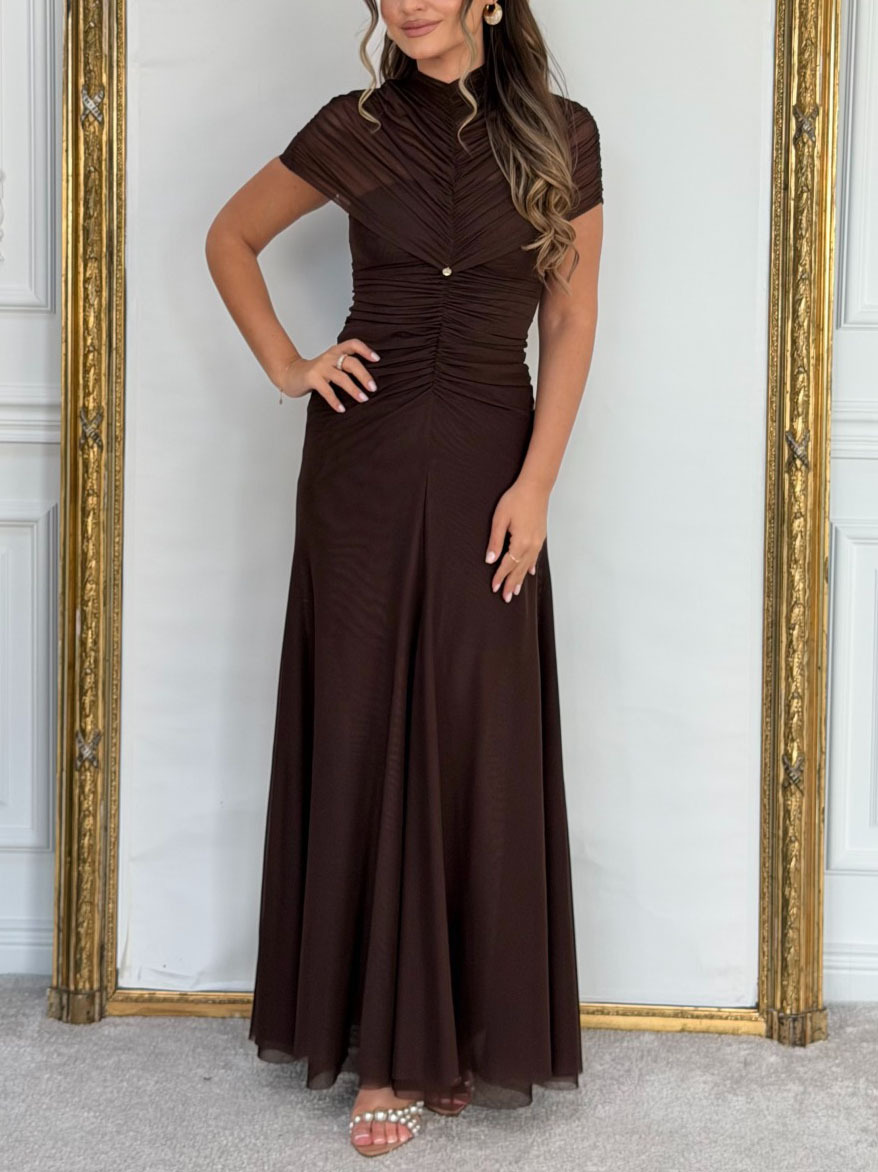 Mesh Pleated Short-sleeved Maxi Dress