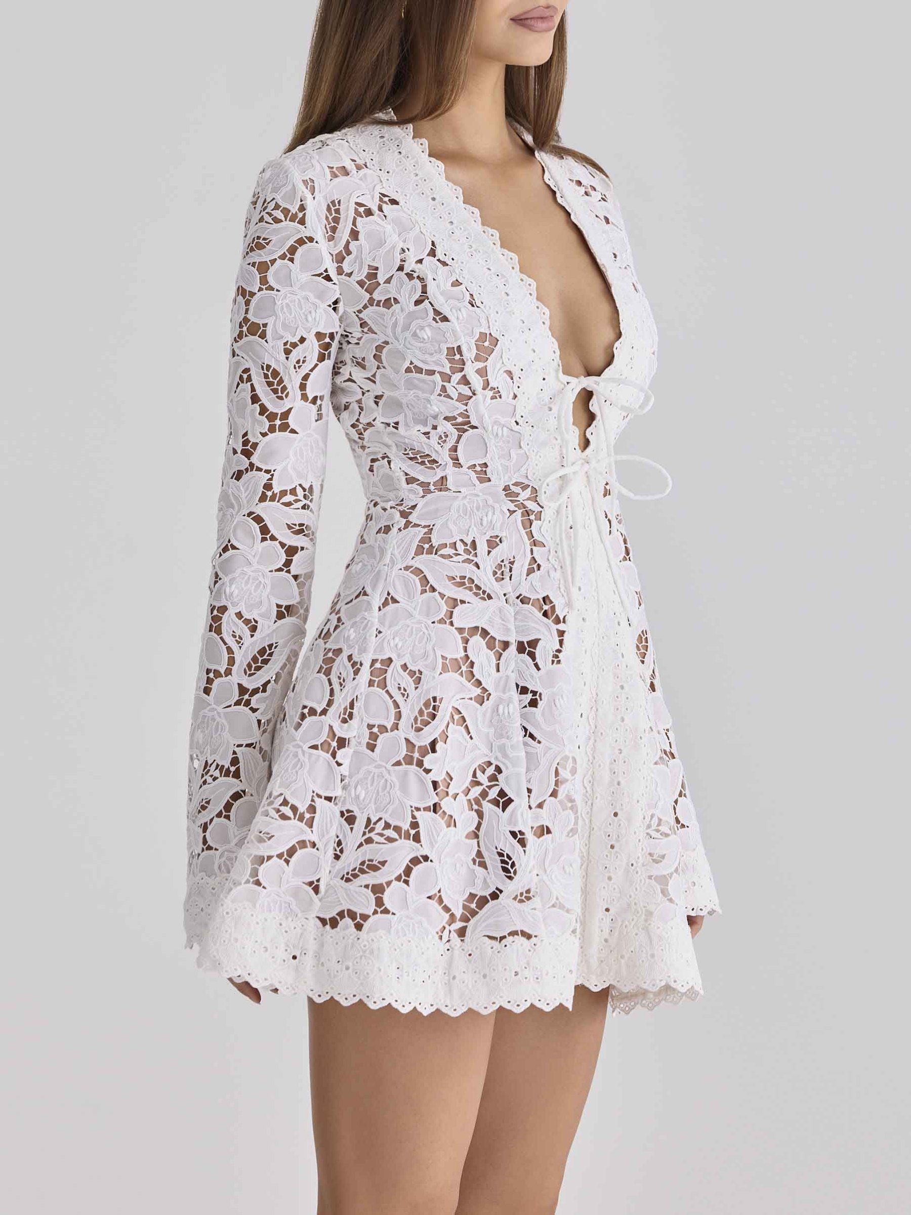 Exquisite Lace Deep V-Neck Mini Dress